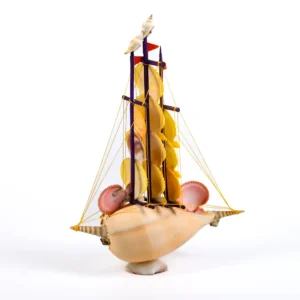 Barquinho de Conchas - Broderipii e Pecten Nobilis - 40cm