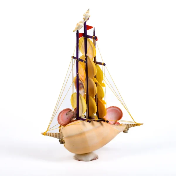 Barquinho de Conchas - Broderipii e Pecten Nobilis - 40cm