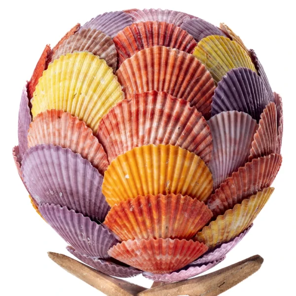 Bola de Conchas com Suporte - Pecten Colored - 18cm - Imagem 2
