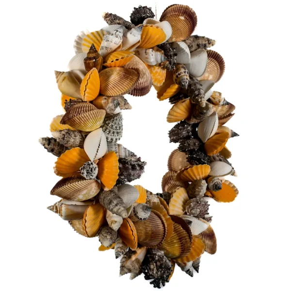 Guirlanda de Conchas -Ring Wreath - 30cm - Imagem 2