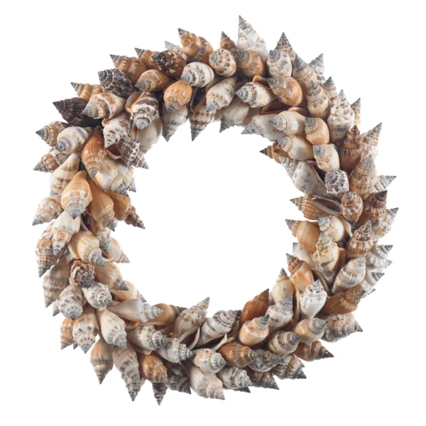 Guirlanda de Conchas - Urceus- 30cm