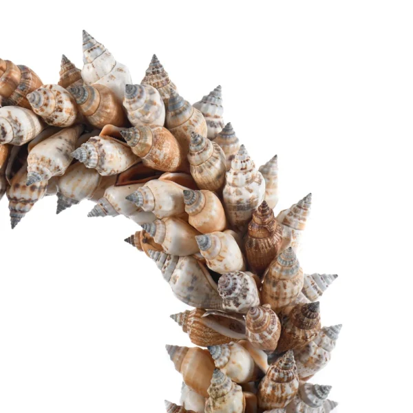 Guirlanda de Conchas - Urceus- 30cm - Imagem 2