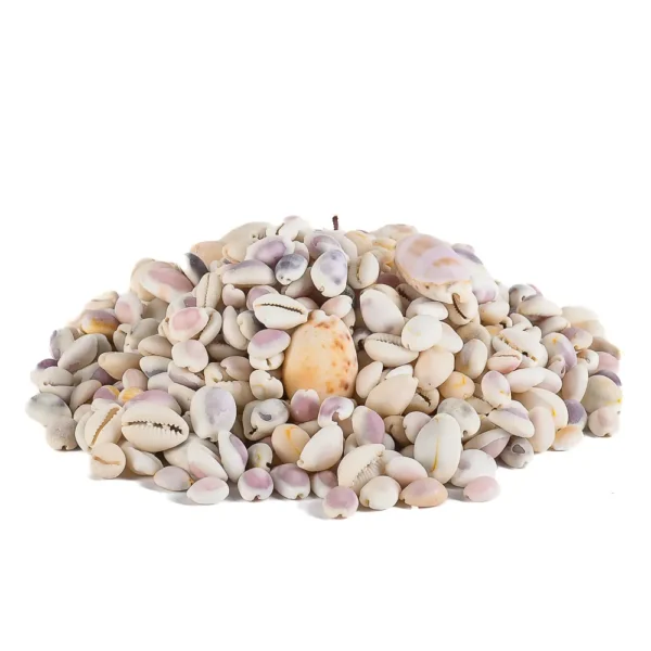 MIX CONCHAS MIUDAS 750 gr