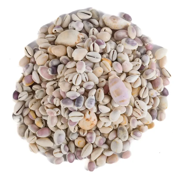 MIX CONCHAS MIUDAS 750 gr - Imagem 2