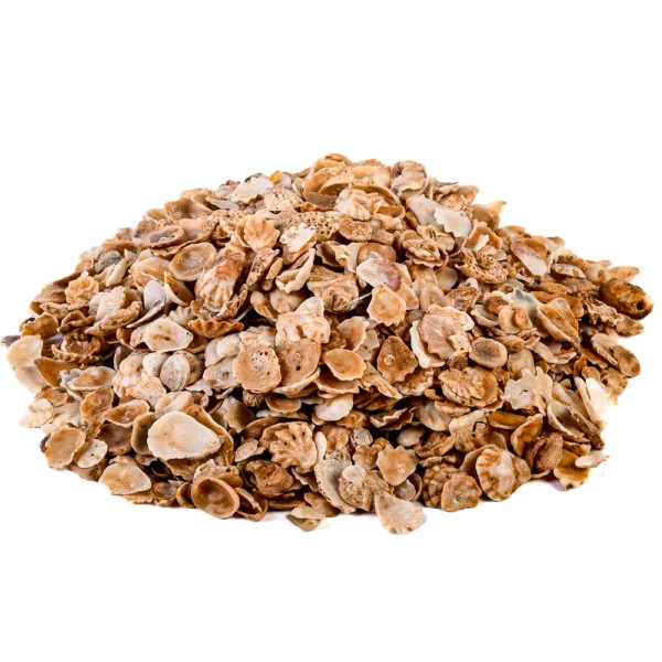 Ostra Pezinho (Ostrea Equestris - 1kg)