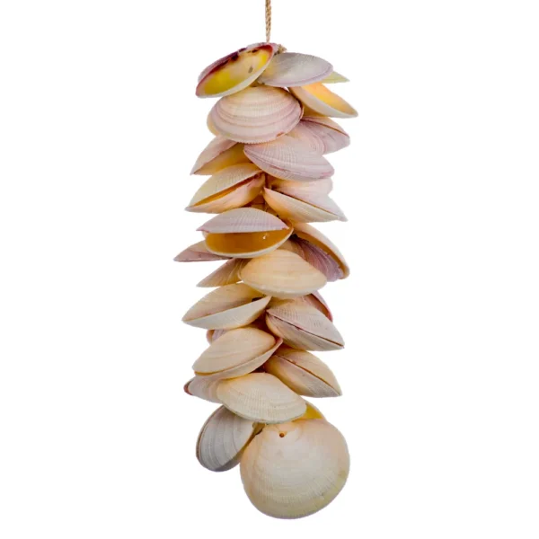 Penca de Conchas - Garland Codakia - 45cm