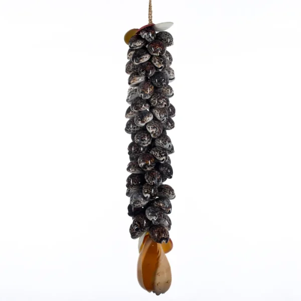 Penca de Conchas (Garland Cypraea Tiger - 85cm)