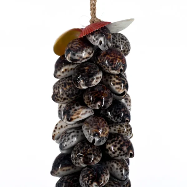 Penca de Conchas (Garland Cypraea Tiger - 85cm) - Imagem 2