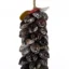 Penca Garland com Cypraea Tigre Macho e Melo Broderipii - 82 a 88cm
