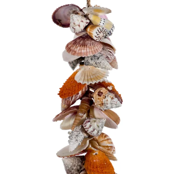 Penca de Conchas Garland Lambis-Lambis - 85cm - Imagem 2