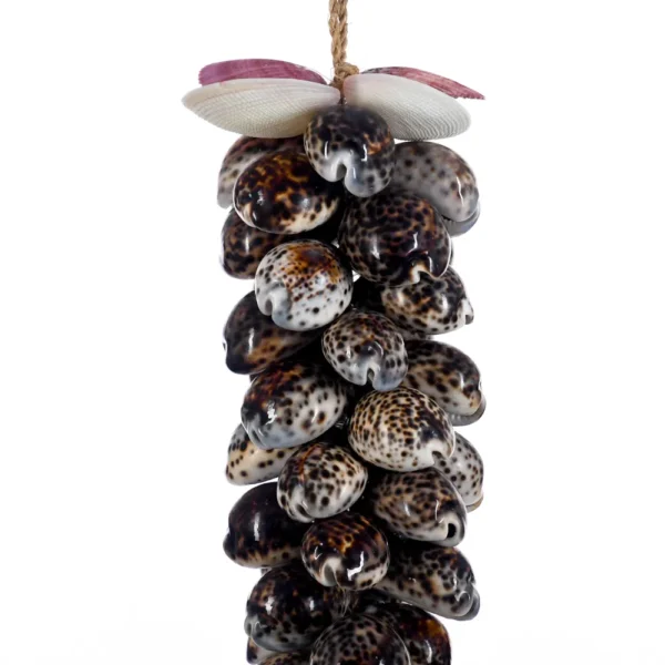 Penca de Conchas Garland Tiger Female - 70cm - Imagem 2