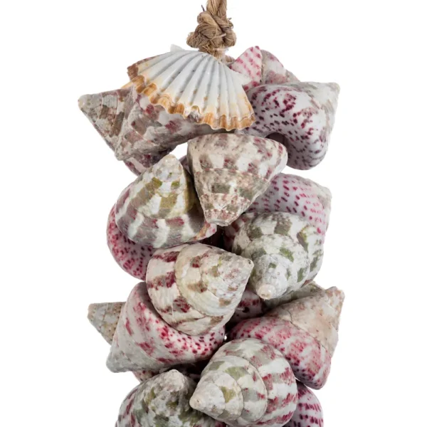 Penca de Conchas Garland Troca Female Strawberry - 50 a 55cm - Imagem 2