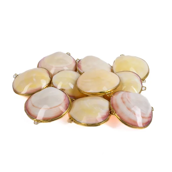 Porta Moedas ou Porta Anéis Cypraea Tigerina - 8cm
