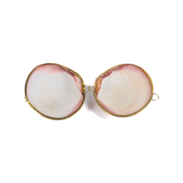 Porta Moedas ou Porta Anéis Cypraea Tigerina - 8cm - Imagem 2