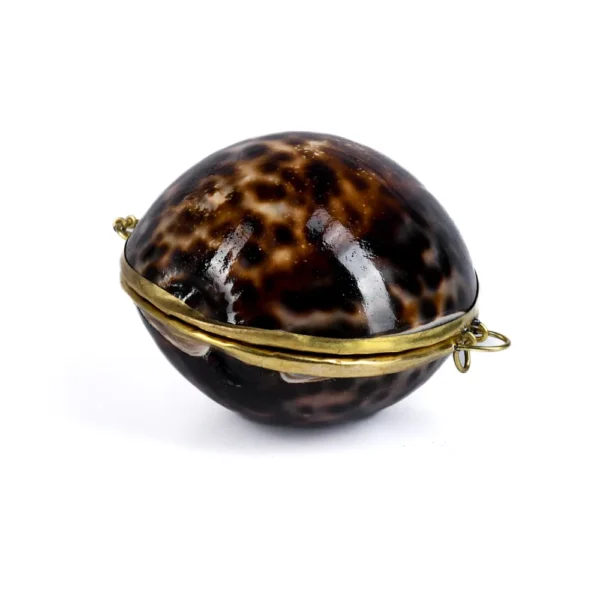 Porta Moedas Ou Porta Joia Tigrado - Cypraea Tiger - 9cm