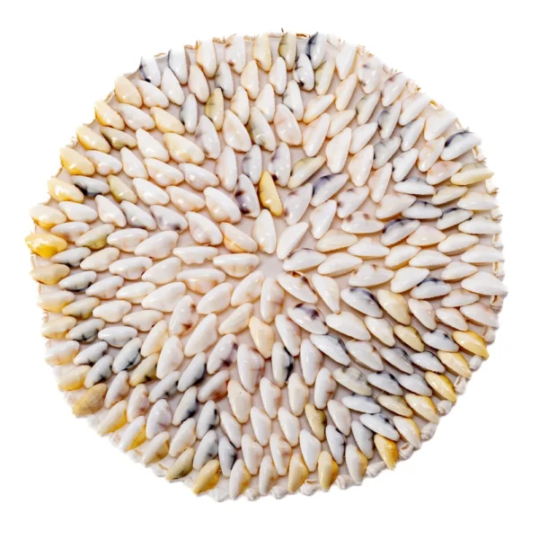 Porta Panelas de Búzios - 20cm