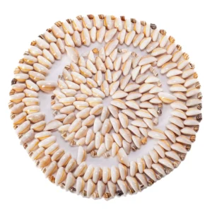 Porta Panela de Búzios - 22cm
