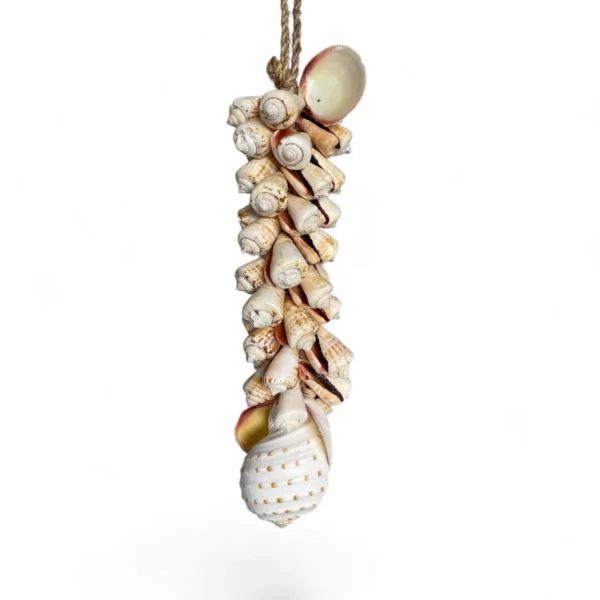Shell Garland  Strombus Luhuanus 45 cm