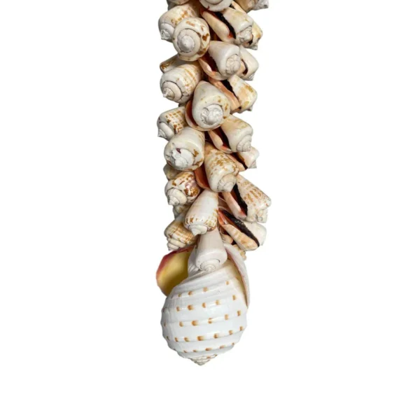 Shell Garland  Strombus Luhuanus 45 cm - Imagem 2