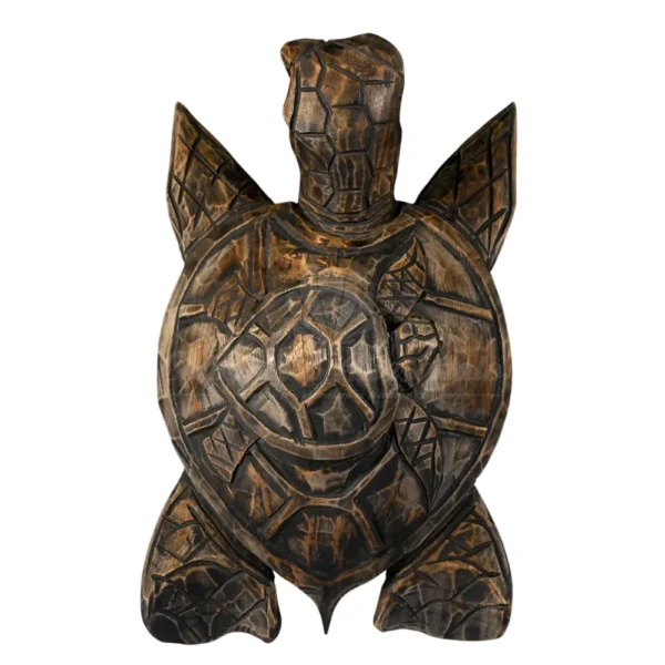 TARTARUGA 40CM -