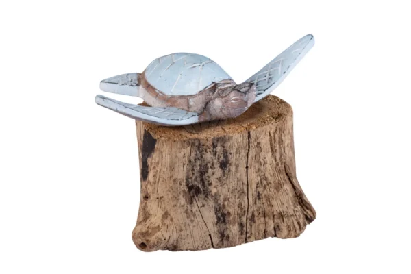 Tartaruga Azul Bebe com Base - 13cm