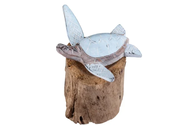 Tartaruga Azul Bebe com Base - 13cm - Imagem 2