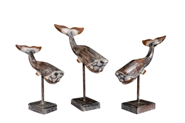 Trio de Baleia Marrom