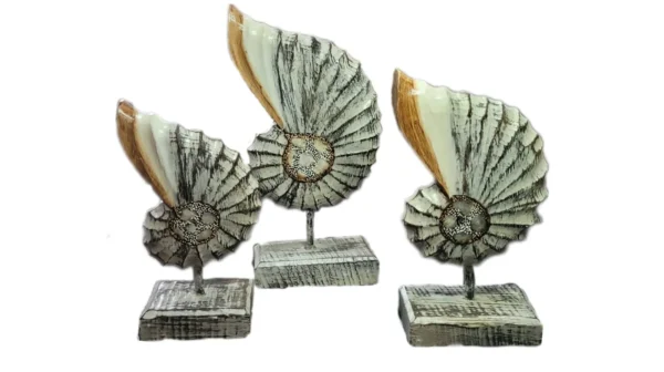 Trio Nautilus Marrom com Base -