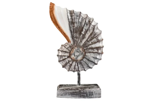 Trio Nautilus Marrom com Base - - Imagem 2
