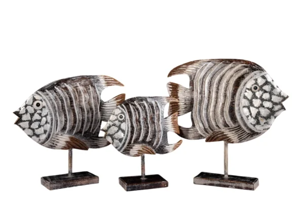 Trio de Peixe Zebra Marrom