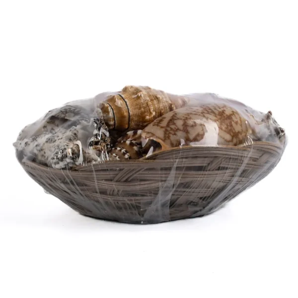 Cestinha de Conchas (Mix de Conchas) - 20cm - Imagem 2
