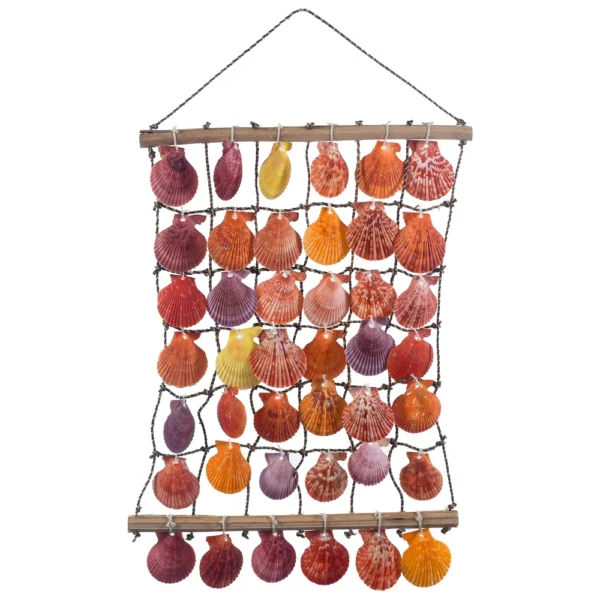 Cortina de Conchas Pecten Nobilis - 6x6 - 38x45cm