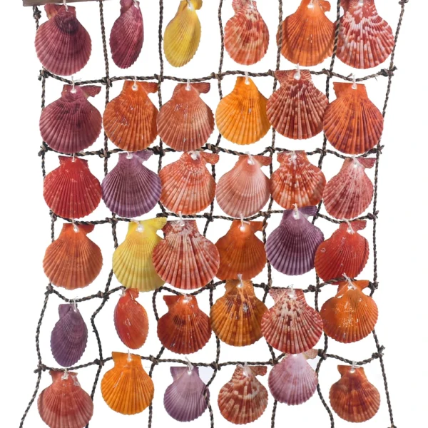 Cortina de Conchas Pecten Nobilis - 6x6 - 38x45cm - Imagem 2