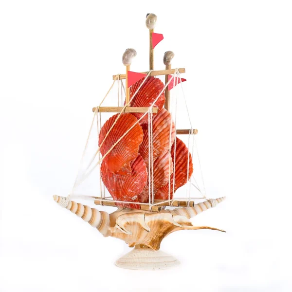 Barquinho de Conchas - Lambis e Pecten - 20cm