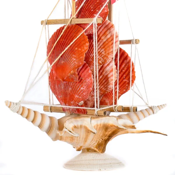 Barquinho de Conchas - Lambis e Pecten - 20cm - Imagem 2
