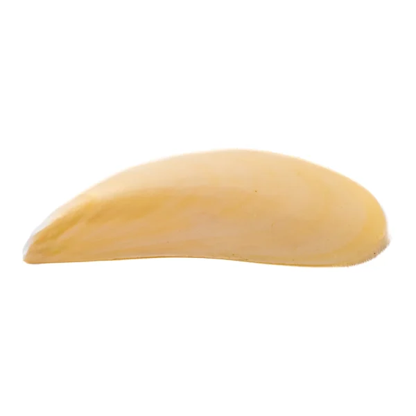 TAHONG PEARLIZED