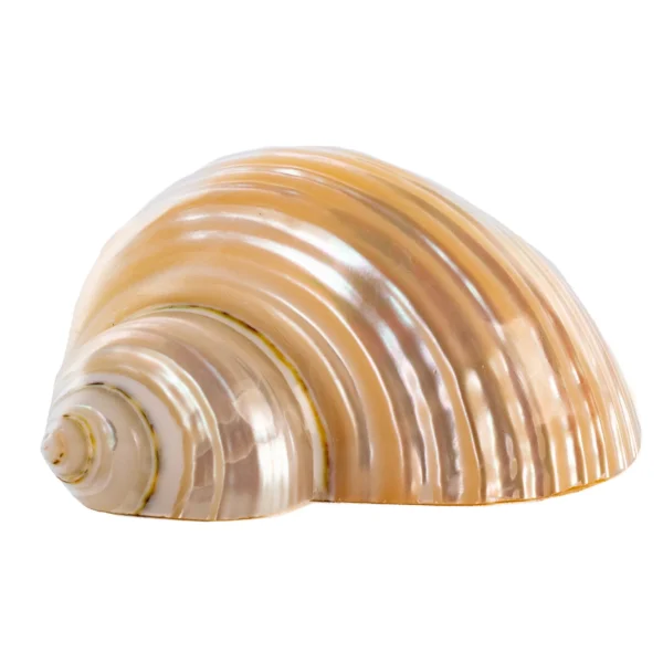 Porta Guardanapo Silver Mouth - 6cm