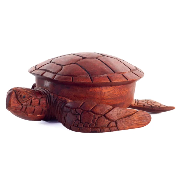 TARTARUGA BOX 30CM