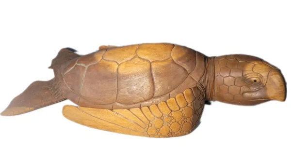 Tartaruga - 100cm