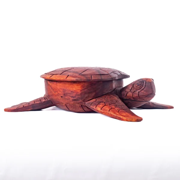 TARTARUGA BOX 50CM