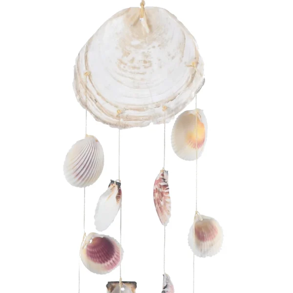 Pendente de Teto (Ostra Vidraça, Brachtechlamys e Soon Moon - 60cm) - Imagem 2