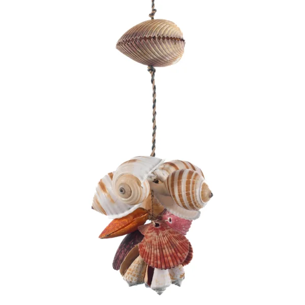Pendente  Coockles Marrom e Tonna Sulcosa - 47cm