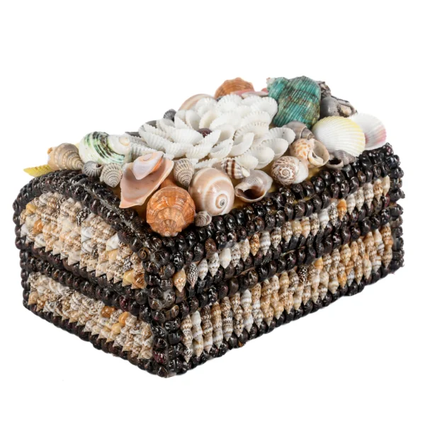Porta Jóias de Conchas (17x12cm)