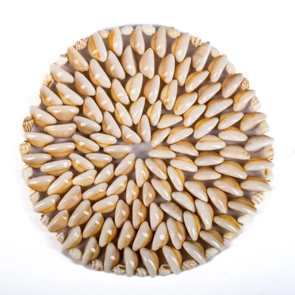 Porta Panela de Búzios (15cm)