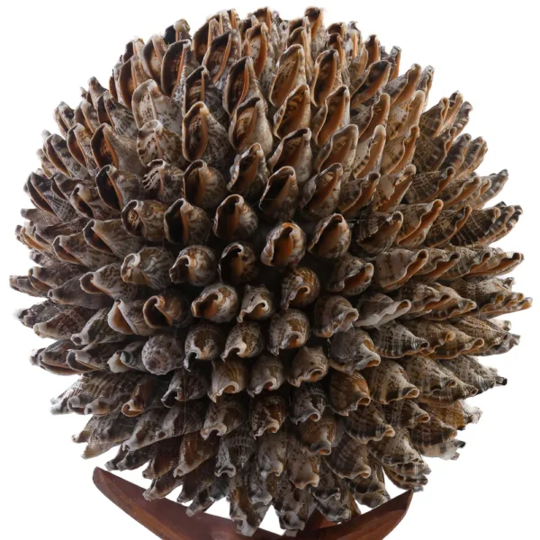 Bola Decorativa (Urseus - 20cm) - Imagem 2