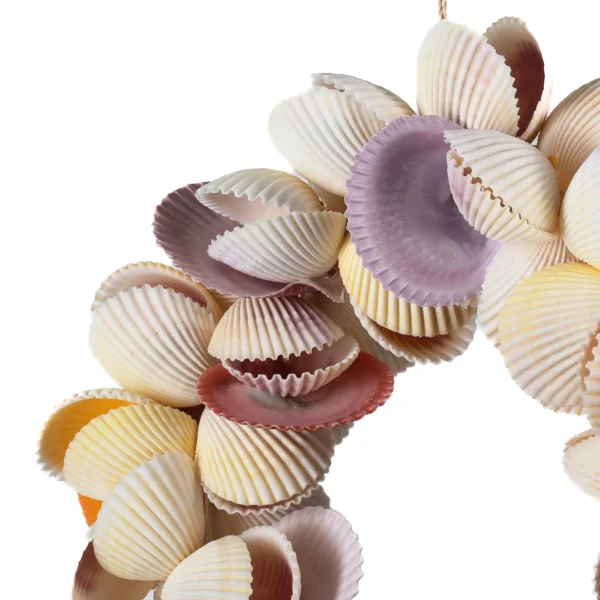 Guirlanda de Conchas  Coockles e Pecten - 30cm - Imagem 2